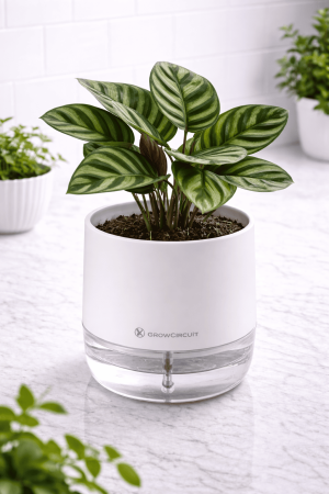 Smart Self-Watering Plant Pot